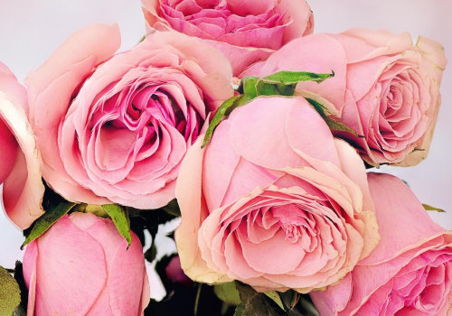 Bridal Bouquet Styles for 2026: A Perfect Match for Custom Jewelry